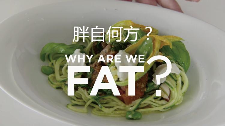 Постер Why Are We Fat?