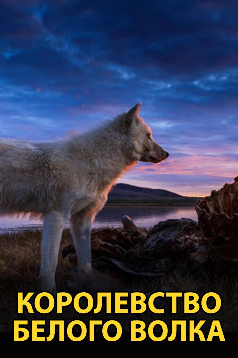 Королевство белого волка (korolevstvo-belogo-volka) Документальный сериал