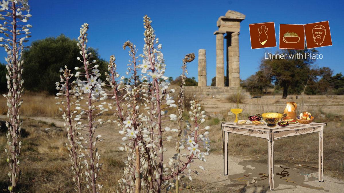 Δειπνο με τον Πλατωνα Досуг, хобби