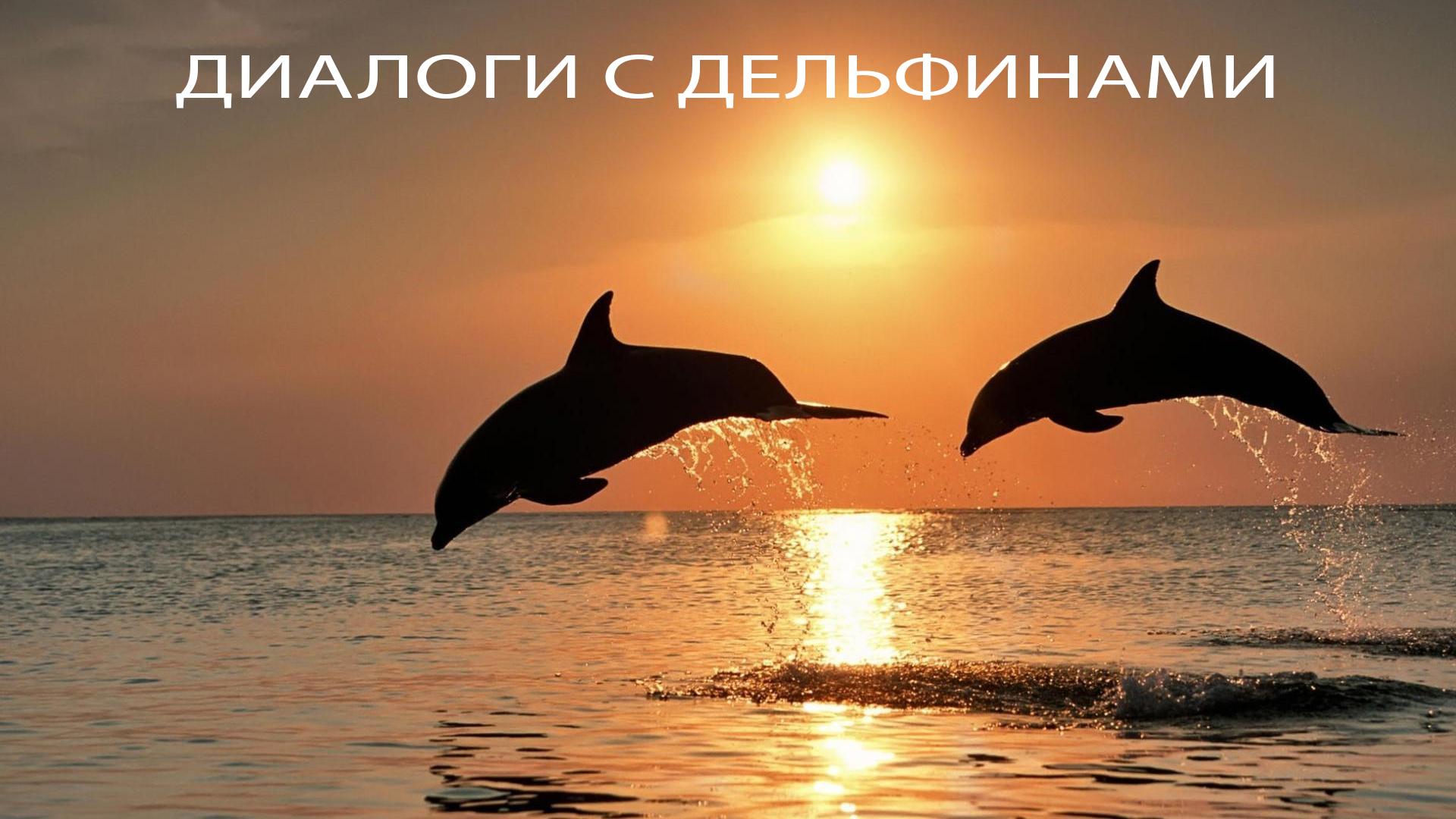 Диалоги с дельфинами (dialogi-s-delfinami) Документальный сериал
