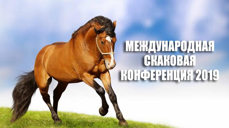 Постер Международная скаковая конференция 2019