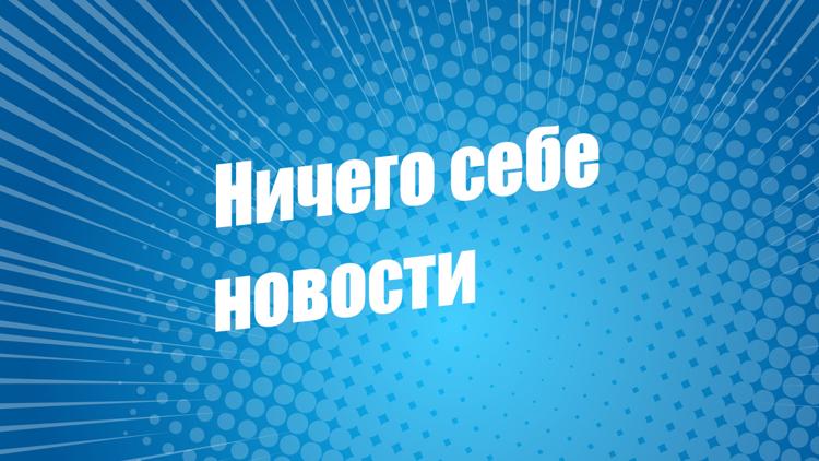 Постер Ничего себе ньюз