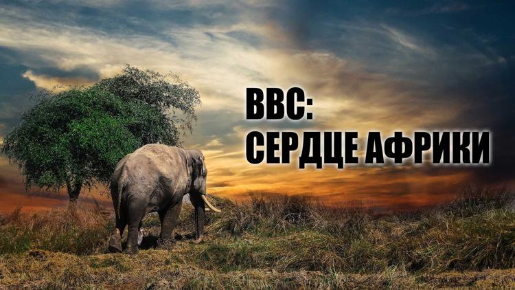 Постер BBC: Сердце Африки