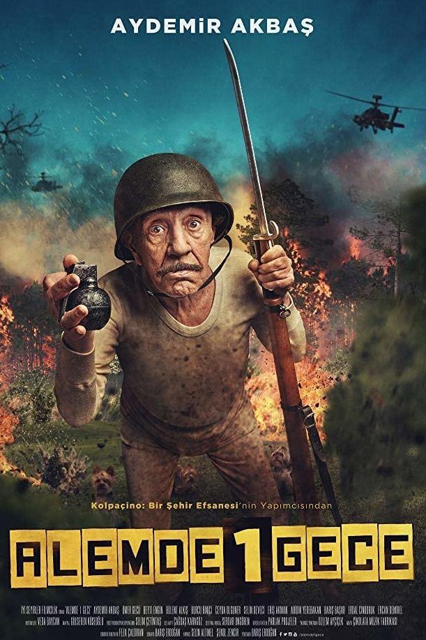 Alemde 1 Gece (alemde-1-gece) Фильм 2016