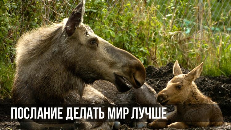 Постер Послание делать мир лучше