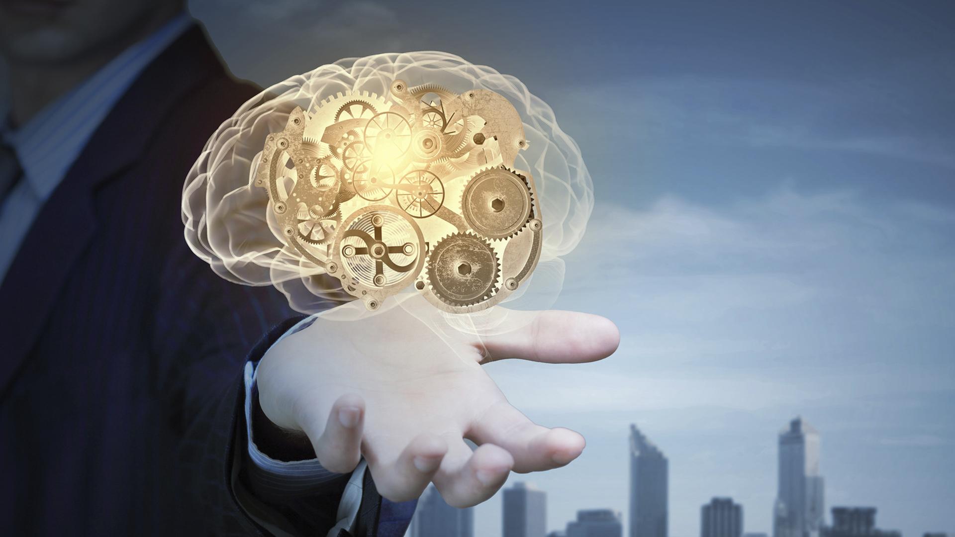 Muscle-and-Brain Training (muscle-and-brain-training) Познавательное