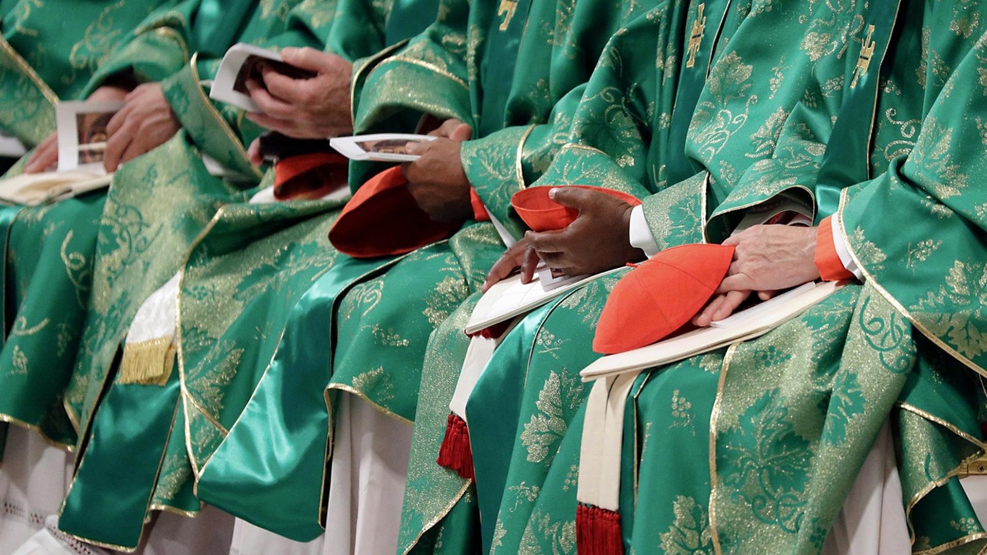 Die Amazonas-Synode — neue Hoffnung für die Kirche? (die-amazonas-synode-neue-hoffnung-fr-die-kirche) Документальный фильм