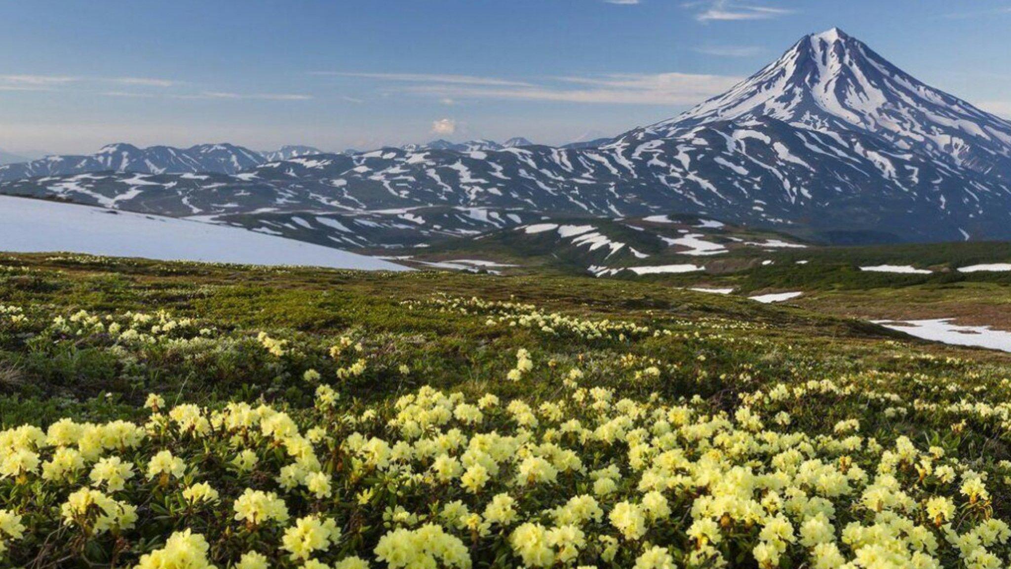 Камчатка (kamchatka) Документальный фильм
