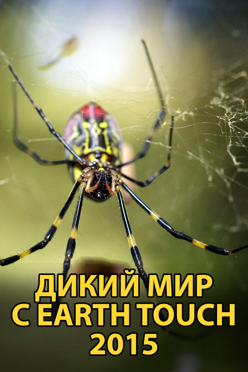 Дикий мир с Earth Touch 2015 (dikij-mir-s-earth-touch-2015) Документальный сериал