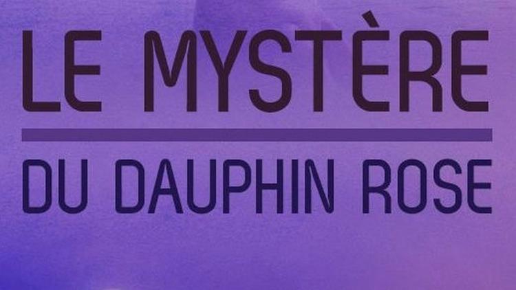 Постер Le mystère du dauphin rose