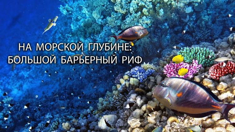 Постер На морской глубине: Большой барьерный риф