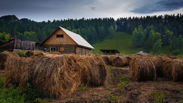 Постер Ауылым