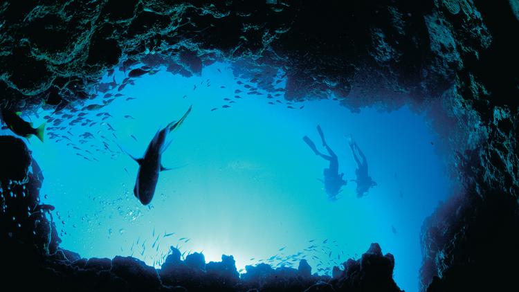 Постер Ningaloo Marine Park, Western Australia, Australia