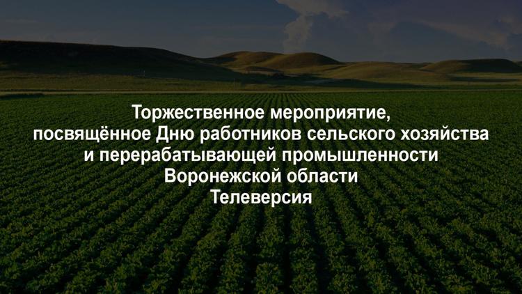 Постер Торжественное мероприятие, посвящённое Дню работников сельского хозяйства и перерабатывающей промышленности Воронежской области. Телеверсия