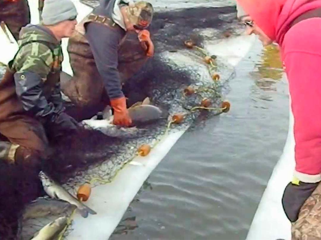 Суровая рыбалка (surovaja-rybalka) Досуг, хобби