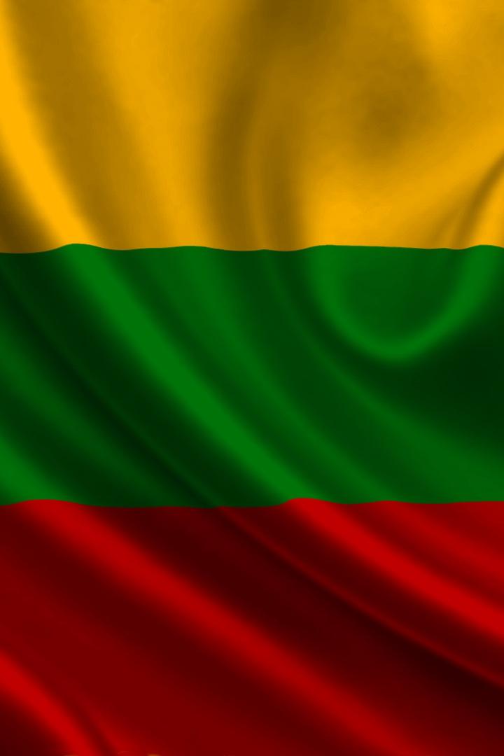 Lietuvos kariuomenės diena (lietuvos-kariuomens-diena) Другое