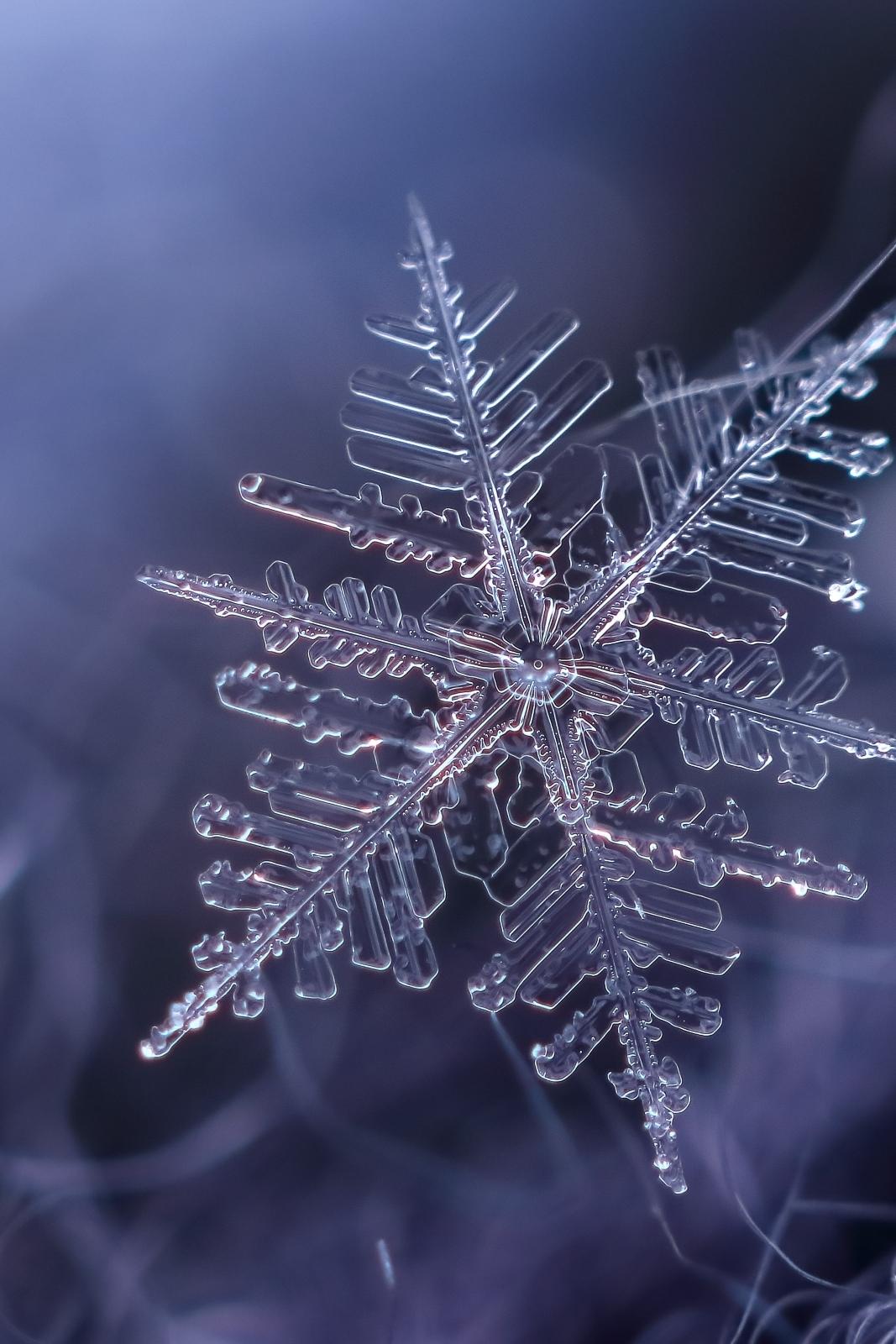 Snowflake (snowflake) Документальный фильм
