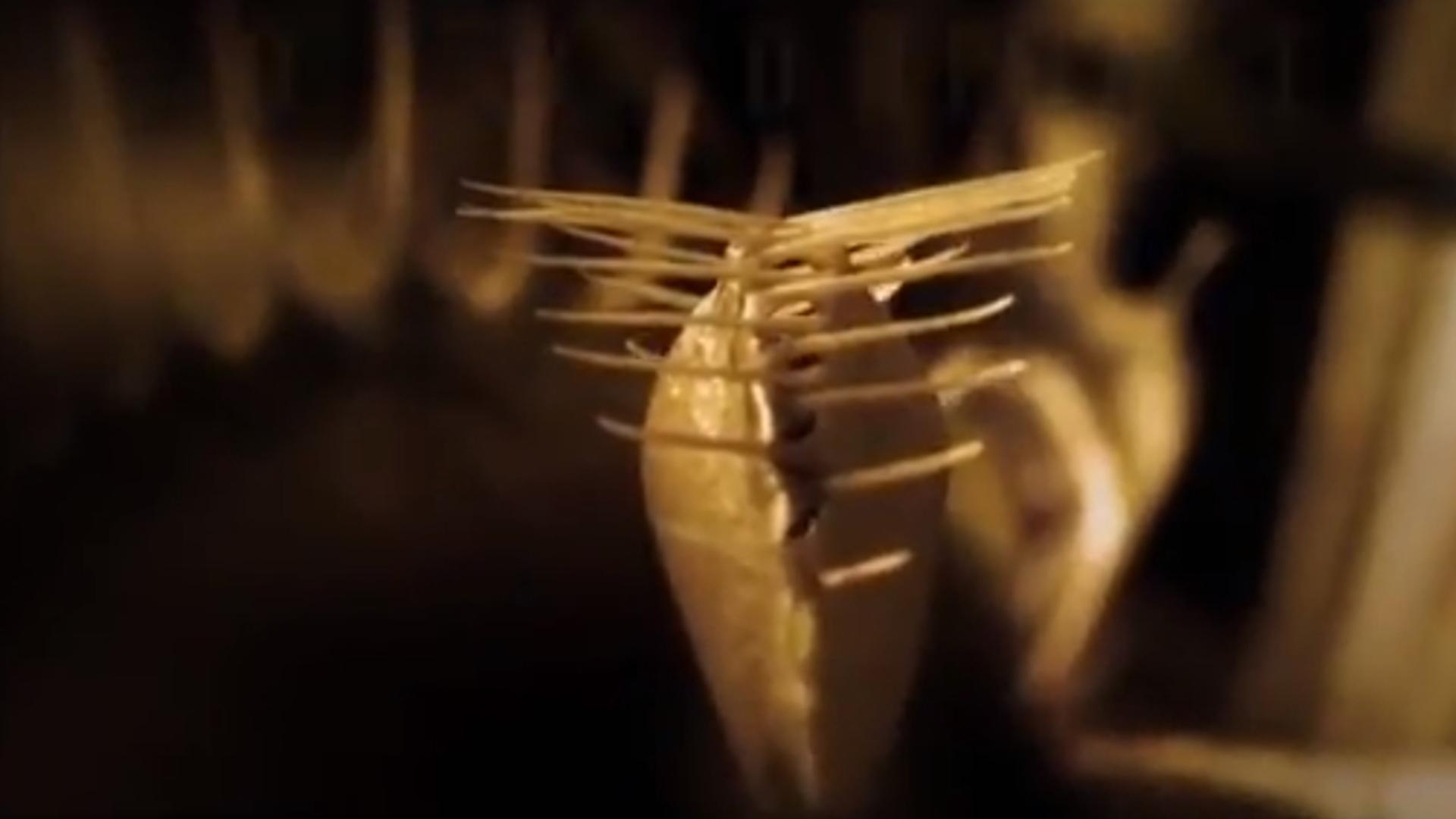 Тёмная сторона растений (temnaja-storona-rastenij) Документальный фильм