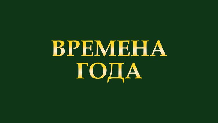 Постер Времена года