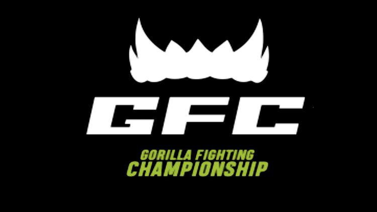 Постер Шоу в Ташкенте GFC 20