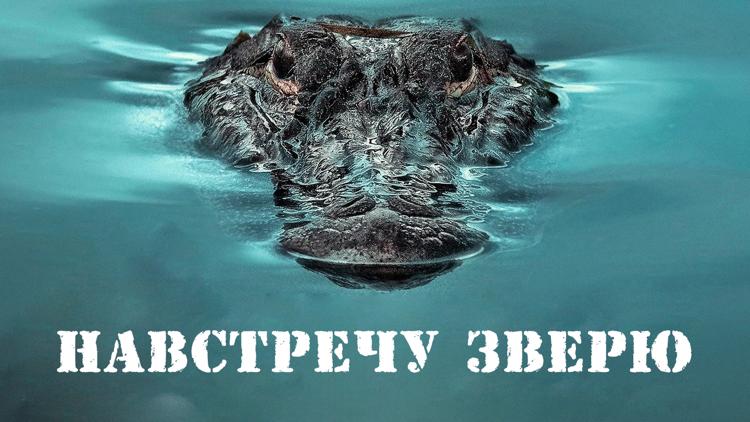 Постер Навстречу зверю