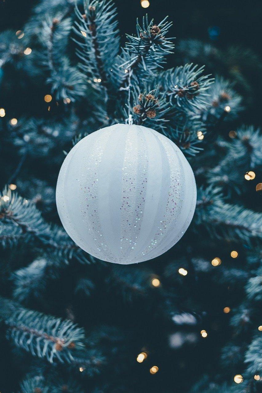 La Navidad de Decasa (la-navidad-de-decasa) Досуг, хобби