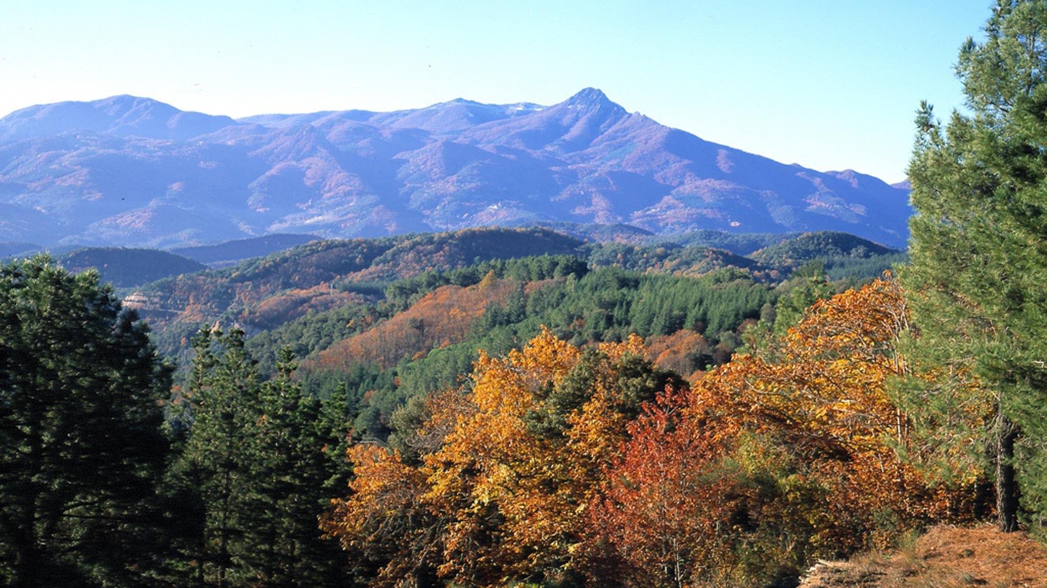 Парк Натурал дел Монтсени (park-natural-del-montseni) Досуг, хобби