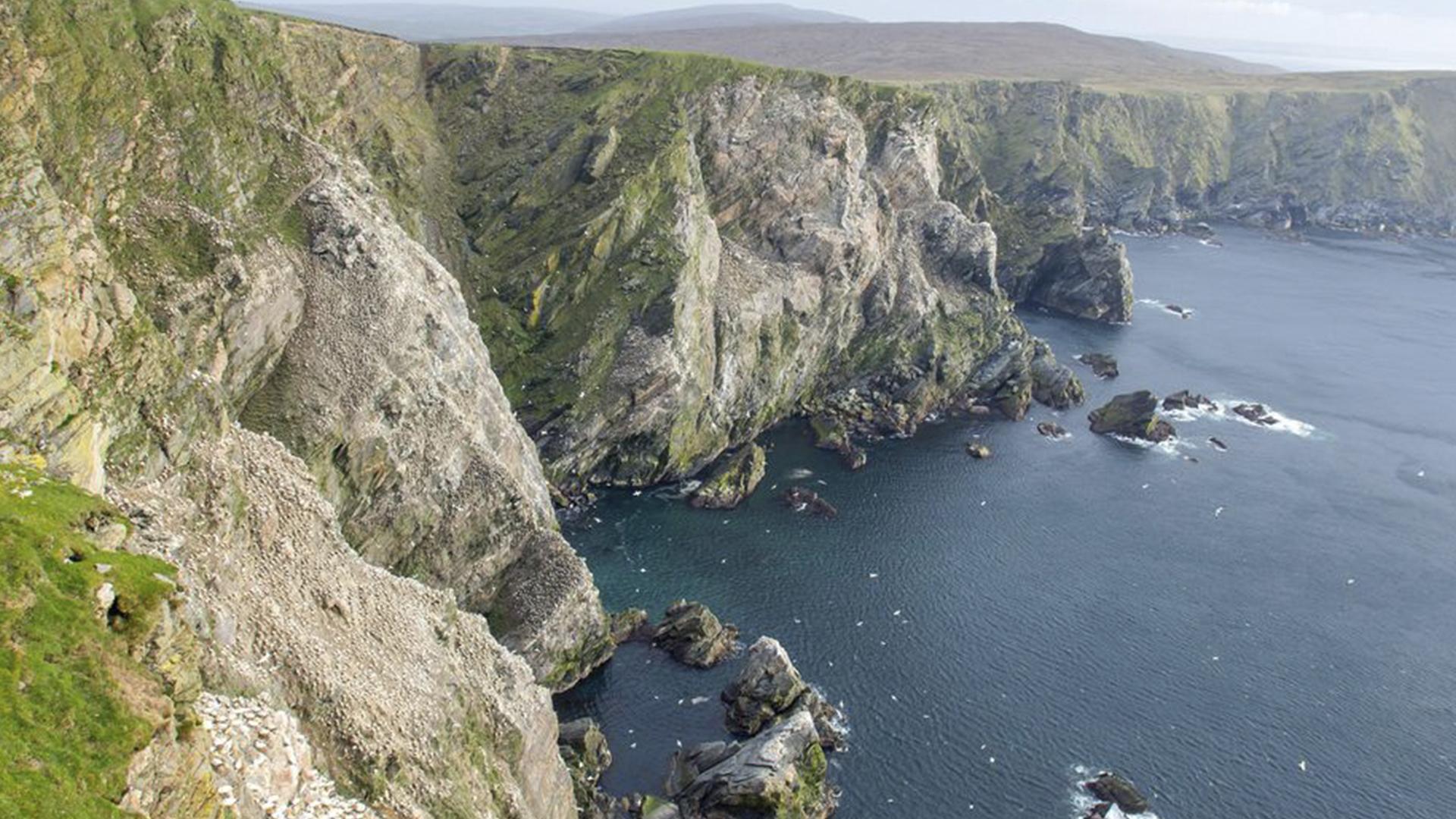 Wilde Shetlands (wilde-shetlands) Документальный фильм
