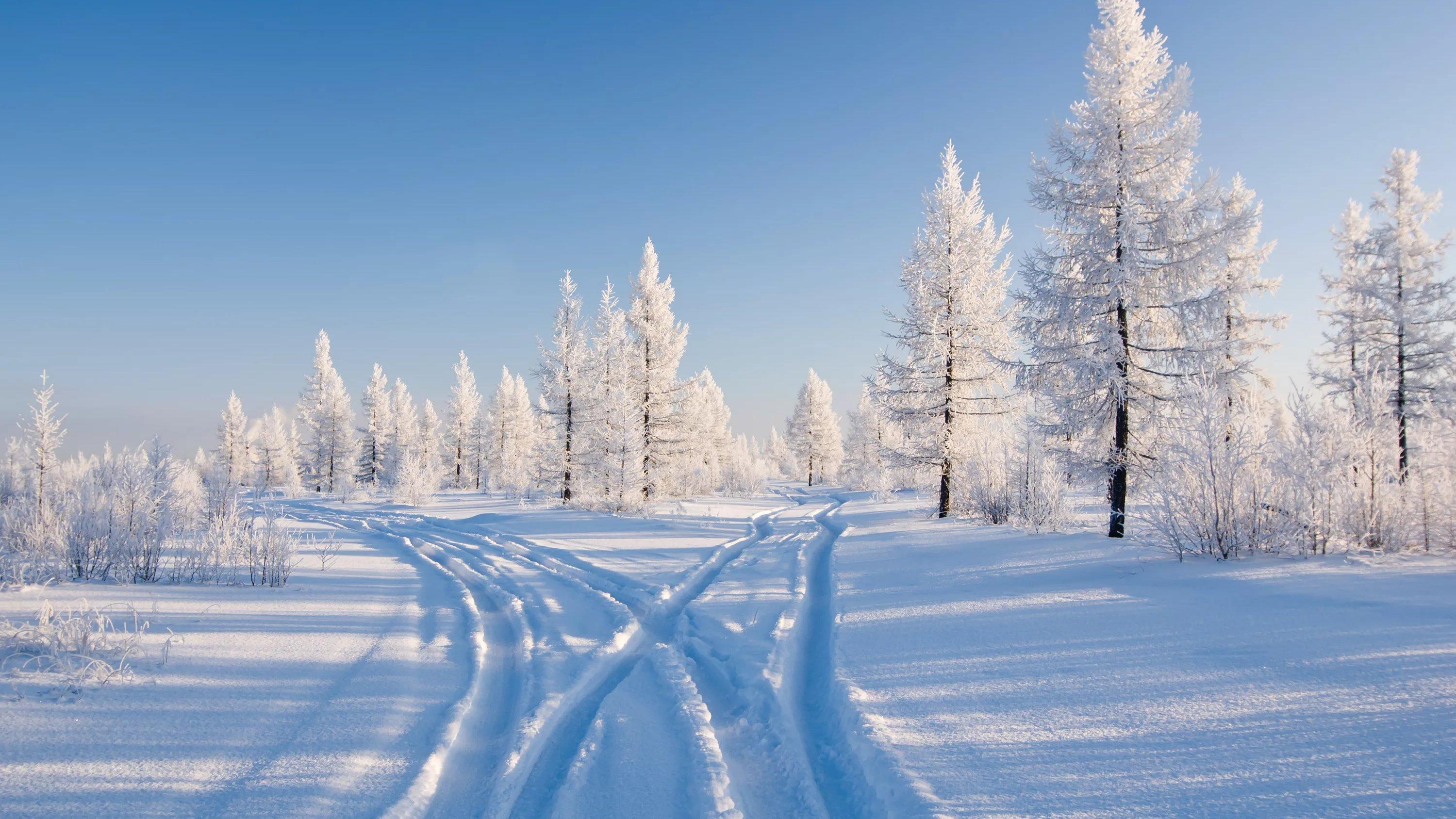 Winter in Ostpreußens Zauberwald (winter-in-ostpreuens-zauberwald) Документальный фильм