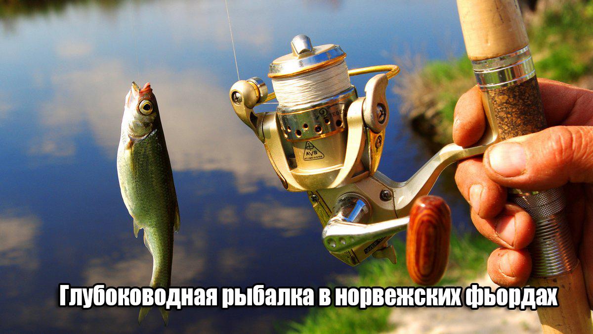 Глубоководная рыбалка в норвежских фьордах (glubokovodnaja-rybalka-v-norvezhskih-fordah) Досуг, хобби