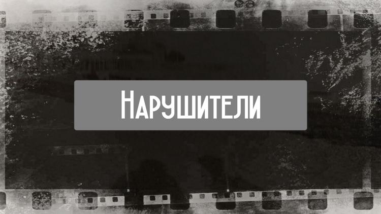 Постер Нарушители