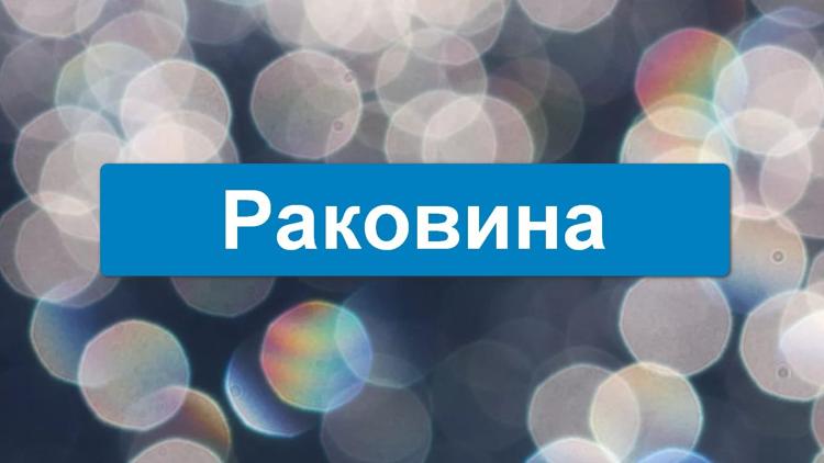 Постер Раковина