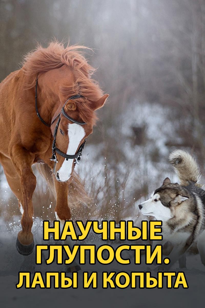 Научные глупости. Лапы и копыта (nauchnye-gluposti-lapy-i-kopyta) Познавательное