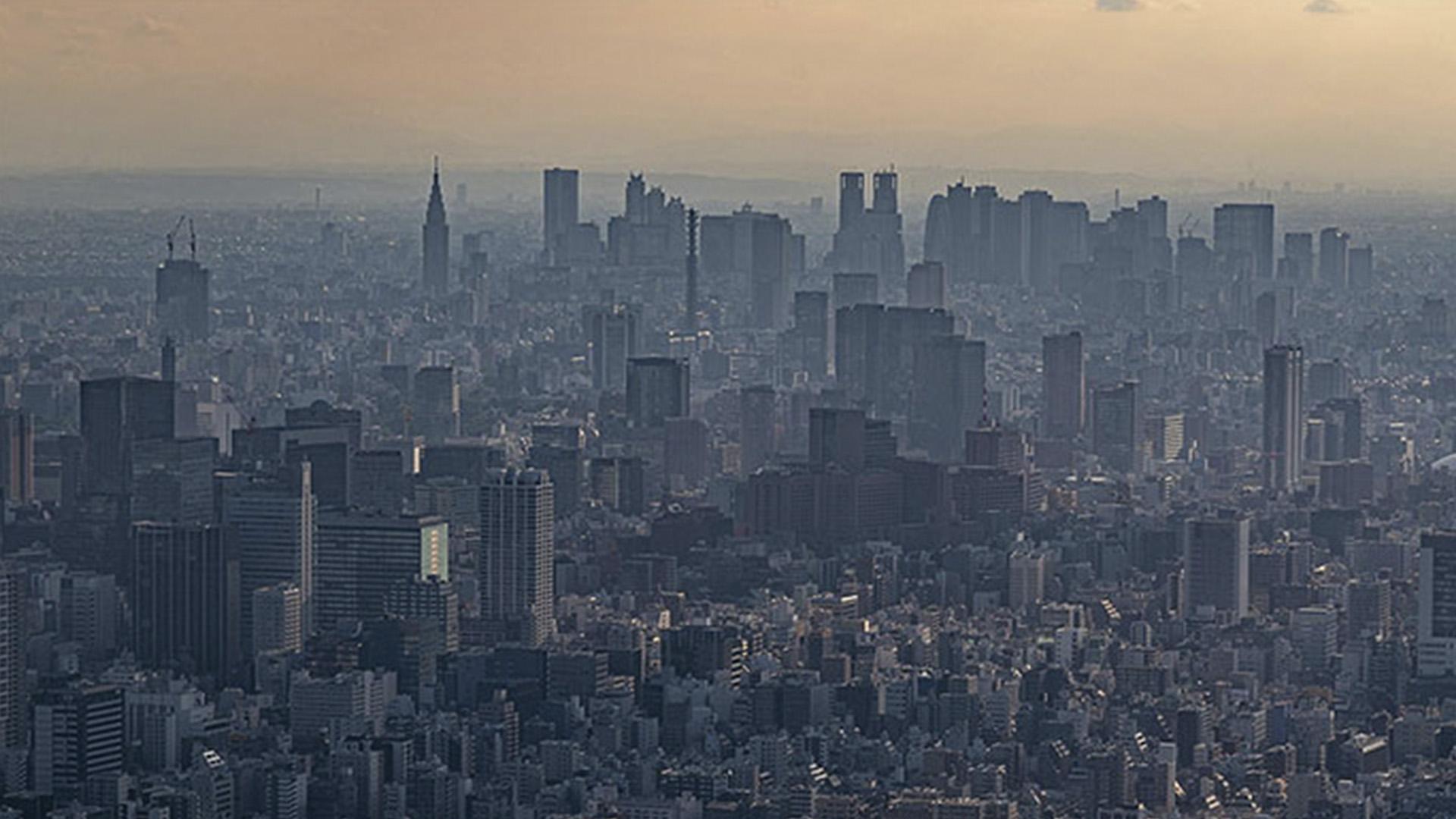 Питер Баракан узнаёт Токио (piter-barakan-uznaet-tokio) Познавательное