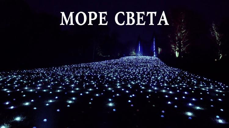 Постер Море света