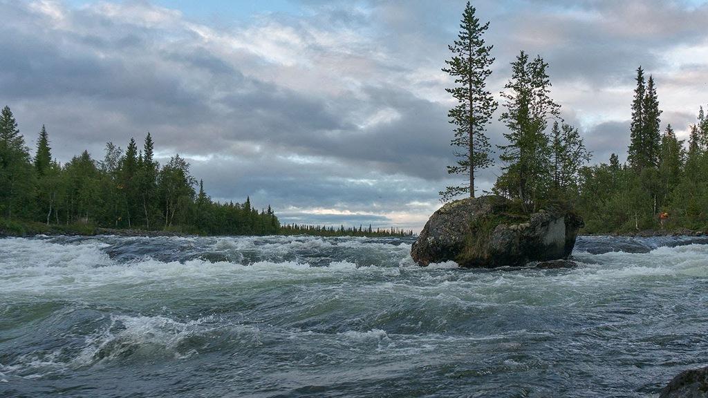 Умба (umba) Документальный фильм