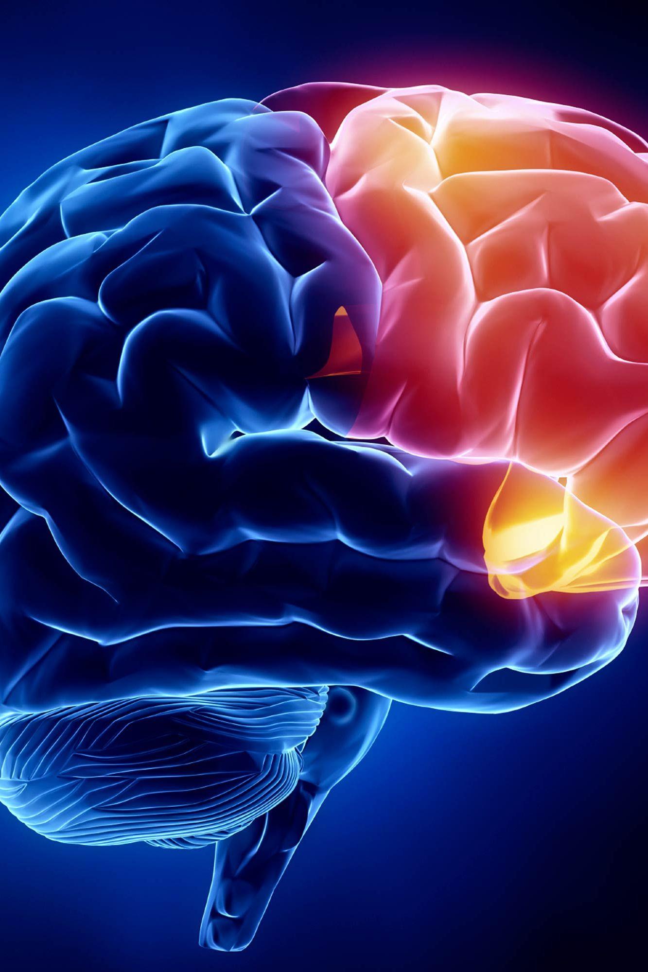 Cerebro saturado (cerebro-saturado) Познавательное