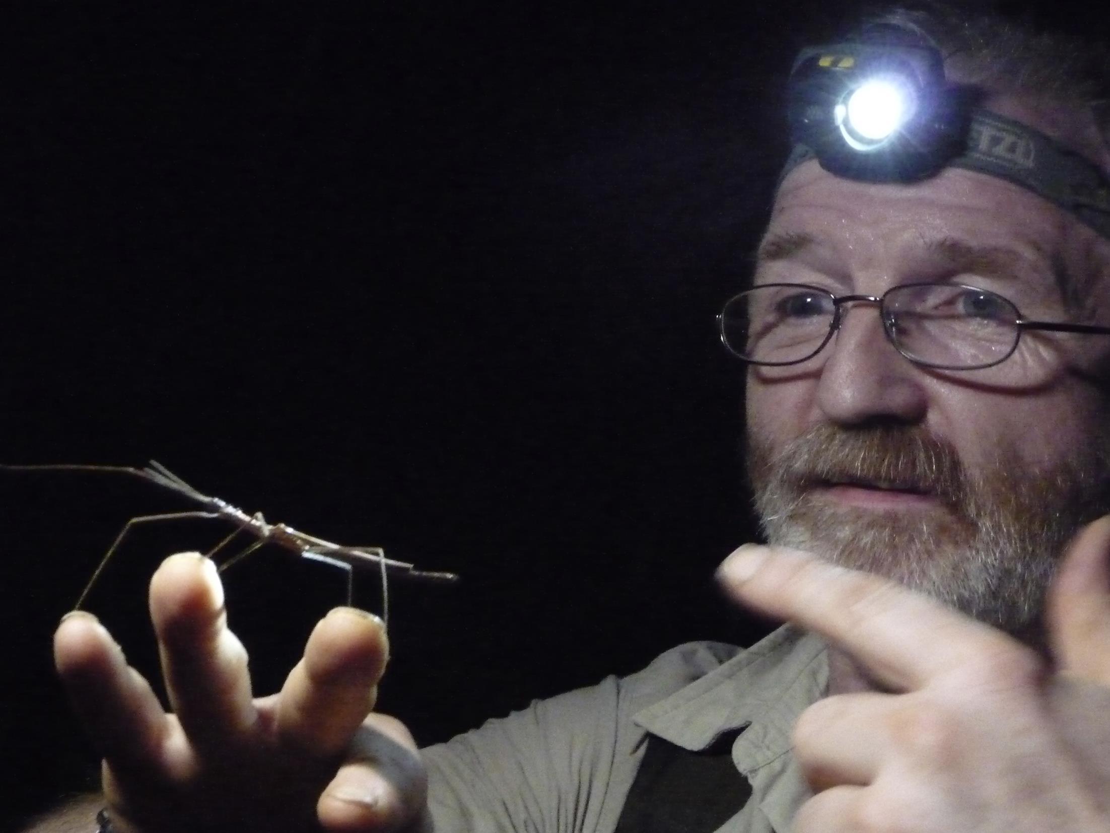 Экспедиция в Новую Гвинею (ekspeditsija-v-novuju-gvineju) Документальный сериал