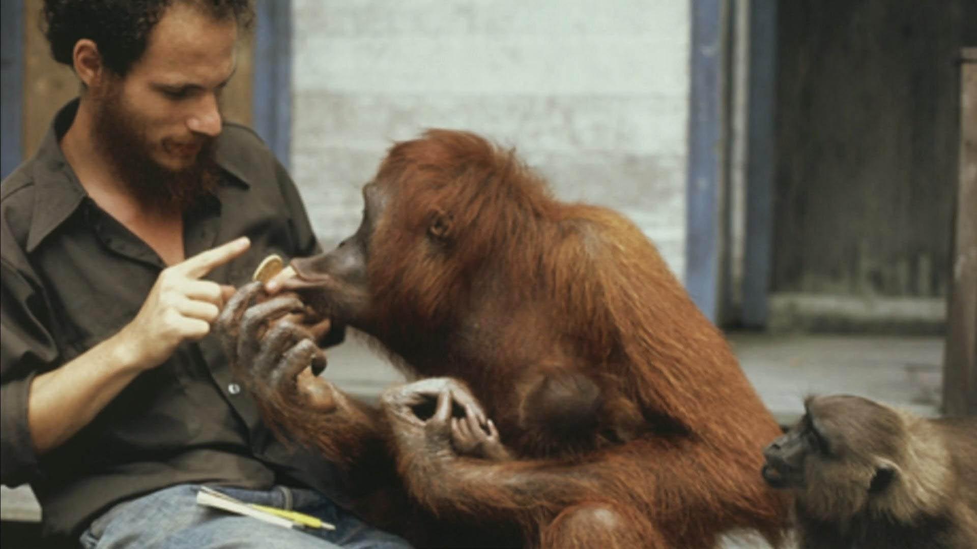 Дикие животные в моей семье (dikie-zhivotnye-v-moej-seme) Документальный сериал