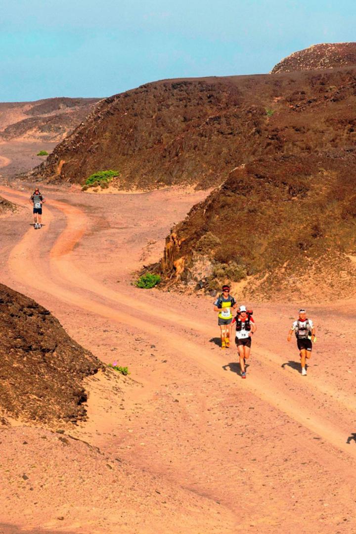 4 Deserts Race (4-deserts-race) Досуг, хобби