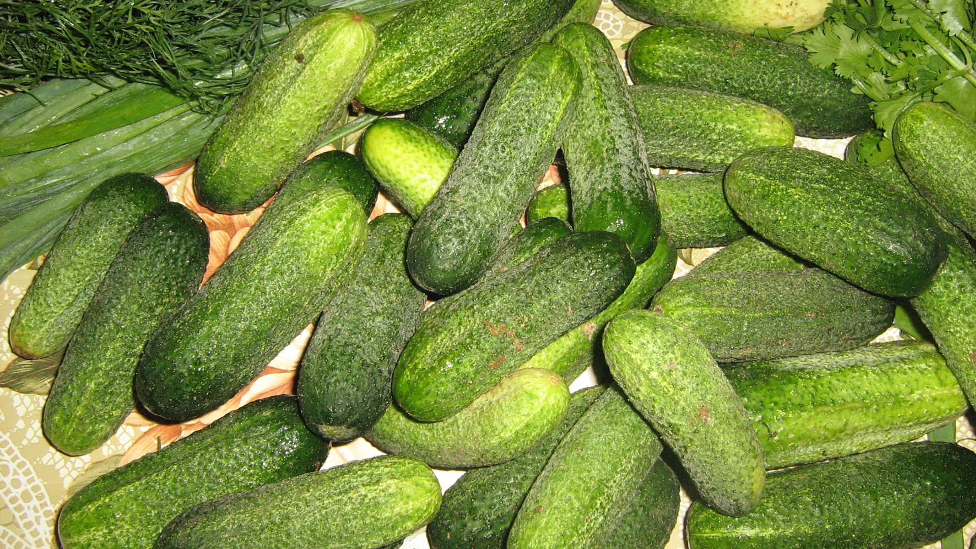 Луховицкие огурцы (luhovitskie-ogurtsy) Другое