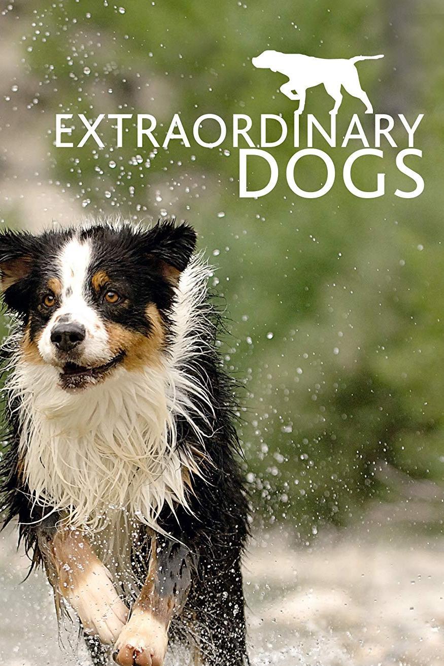 Extraordinary Dogs (extraordinary-dogs) Документальный сериал