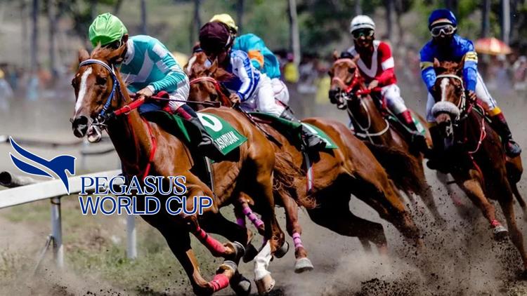 Постер Horse Racing:Pegasus World Cup