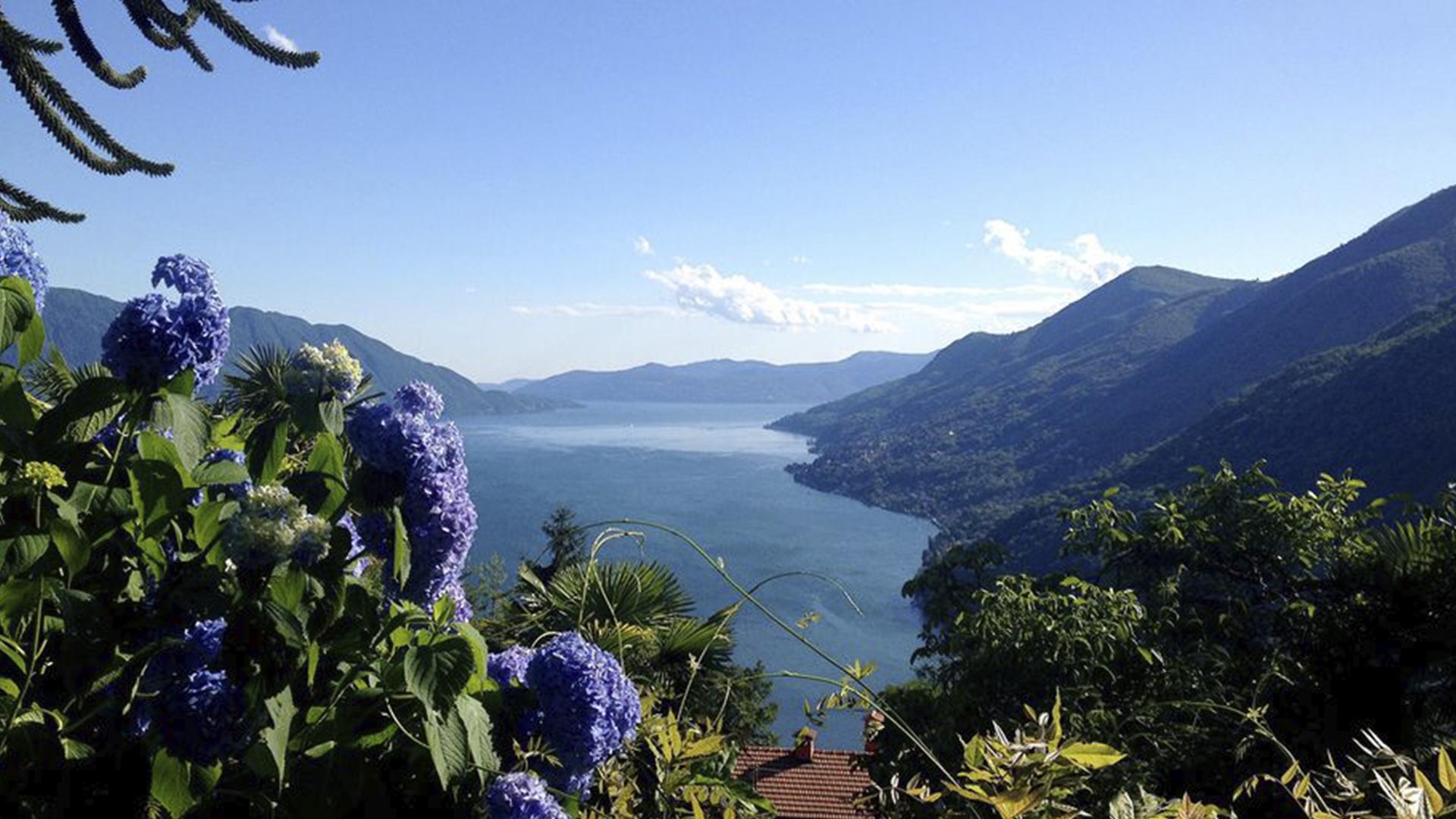Wildnis am Lago Maggiore (wildnis-am-lago-maggiore) Документальный фильм
