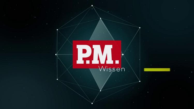 Постер P.M. Wissen