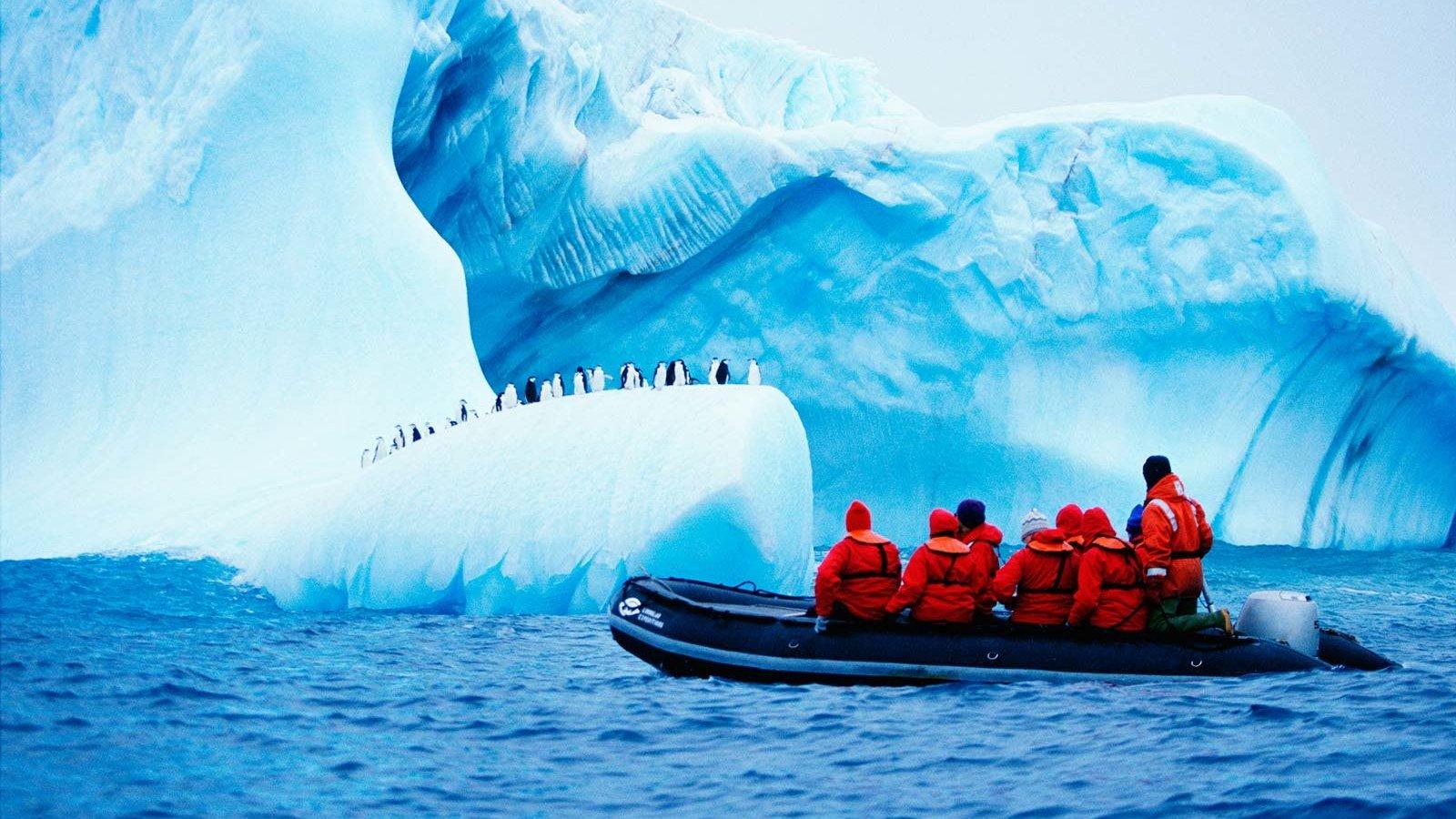 Expedición antártica (expedicin-antrtica) Познавательное
