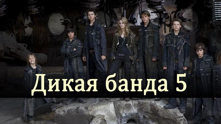 Постер Дикая банда 5