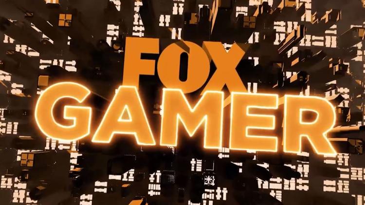 Постер FOX Gamer (Short Edition)