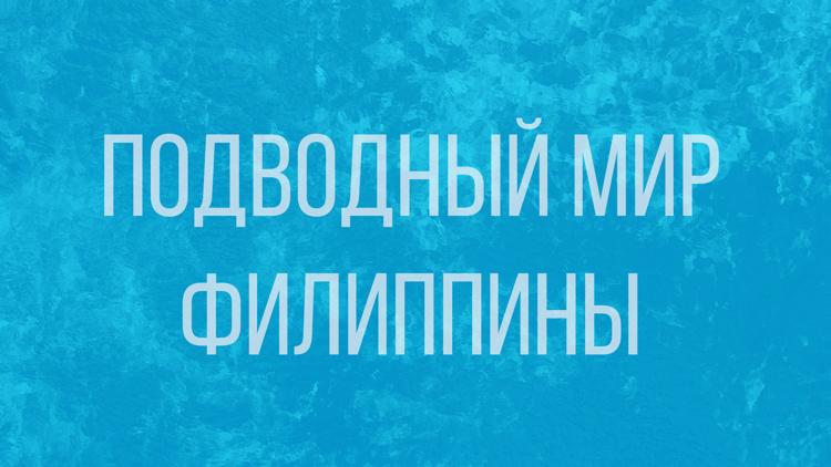 Постер Подводный мир. Филиппины