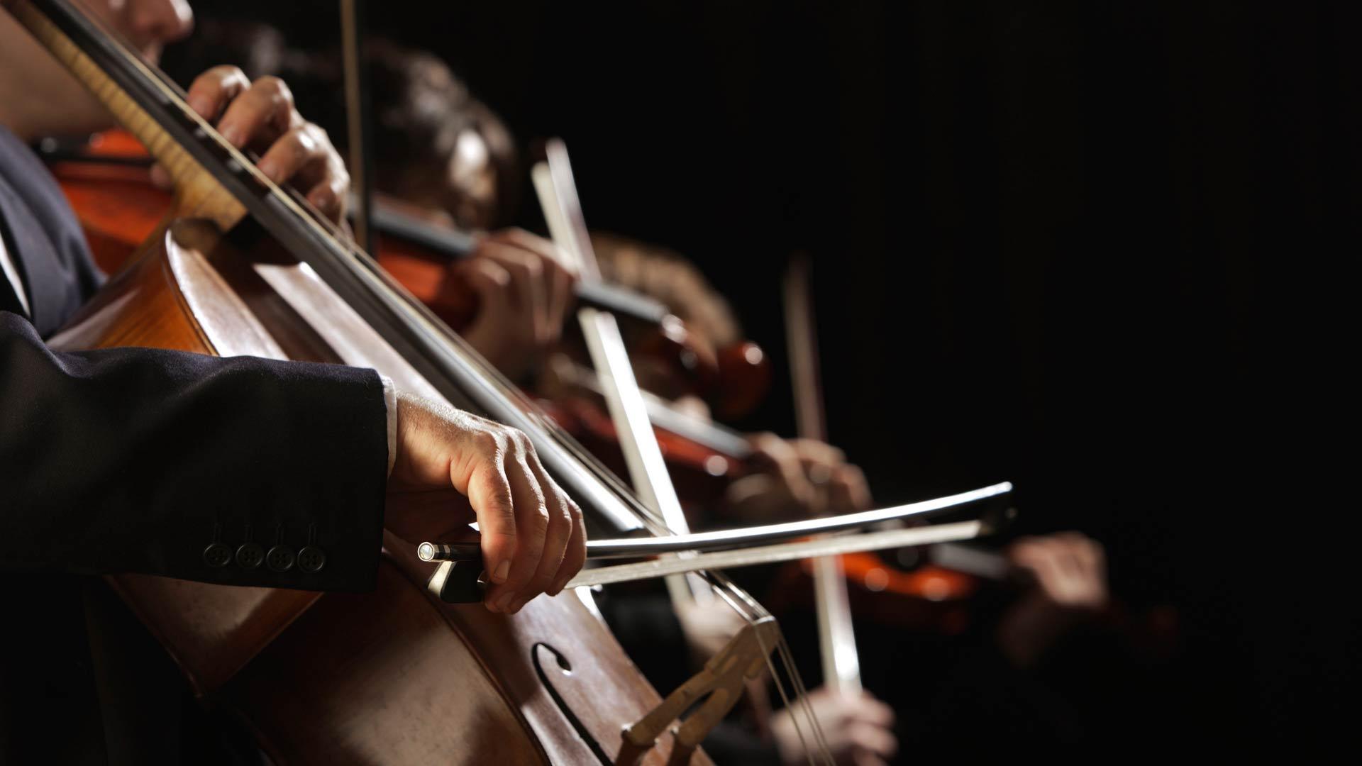 Дневник ХIII Зимнего международного фестиваля искусств Юрия Башмета в Сочи (dnevnik-hiii-zimnego-mezhdunarodnogo-festivalja-iskusstv-jurija-bashmeta-v-sochi) Познавательное